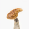 Golden Teacher Mushroom